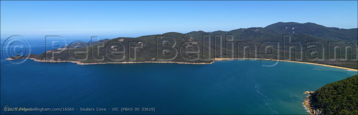 Peter Bellingham Photography Sealers Cove - VIC (PBH3 00 33619)